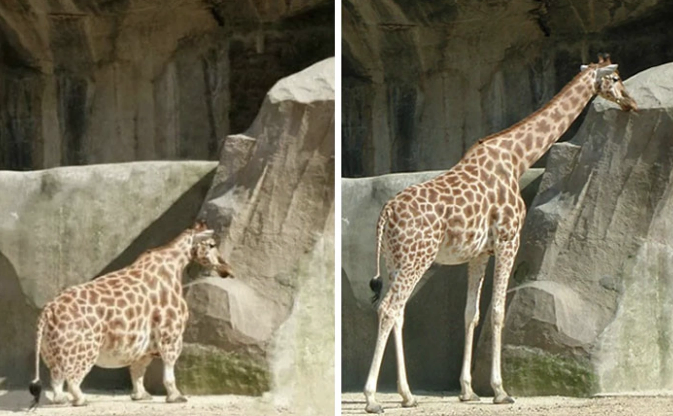 21 Popular Viral Photos That Fooled Everyone into Believing They Were Real