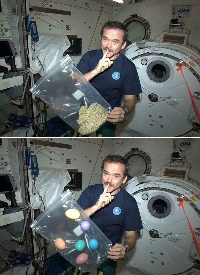 21 Popular Viral Photos That Fooled Everyone into Believing They Were Real