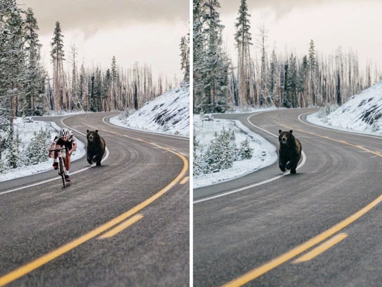 21 Popular Viral Photos That Fooled Everyone into Believing They Were Real