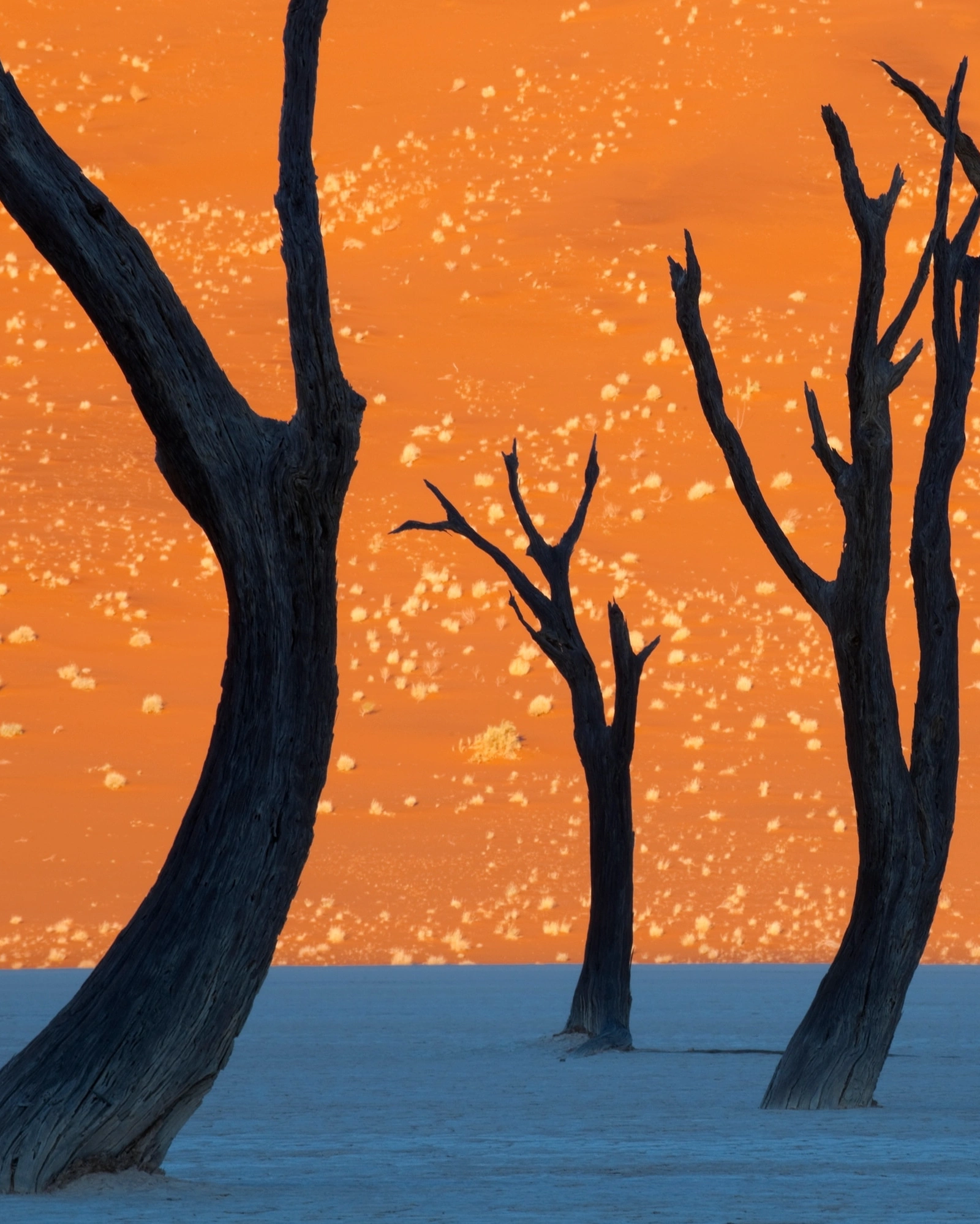 22 Rare and Captivating Sights That Showcase the Beauty of Our Planet