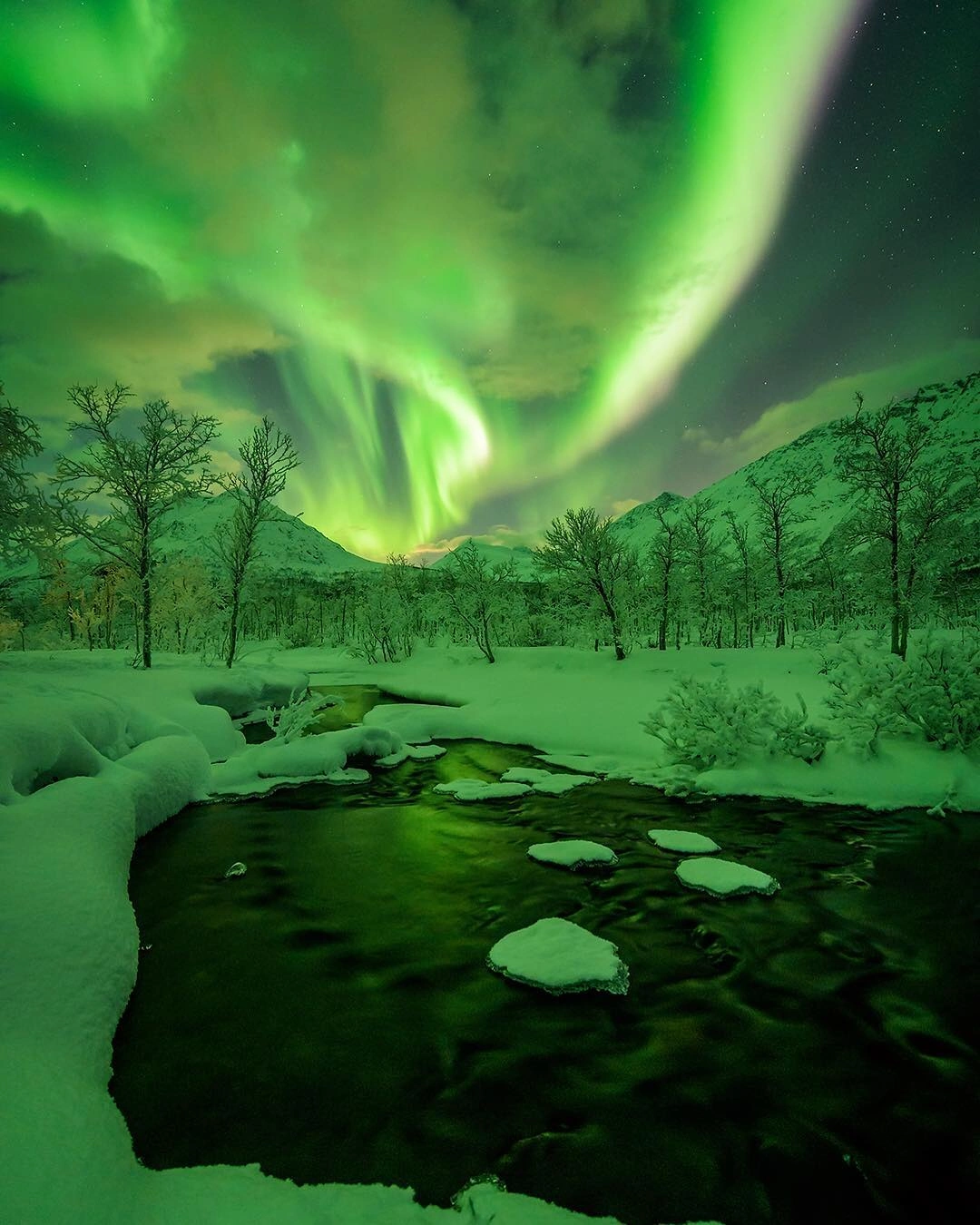 22 Rare and Captivating Sights That Showcase the Beauty of Our Planet