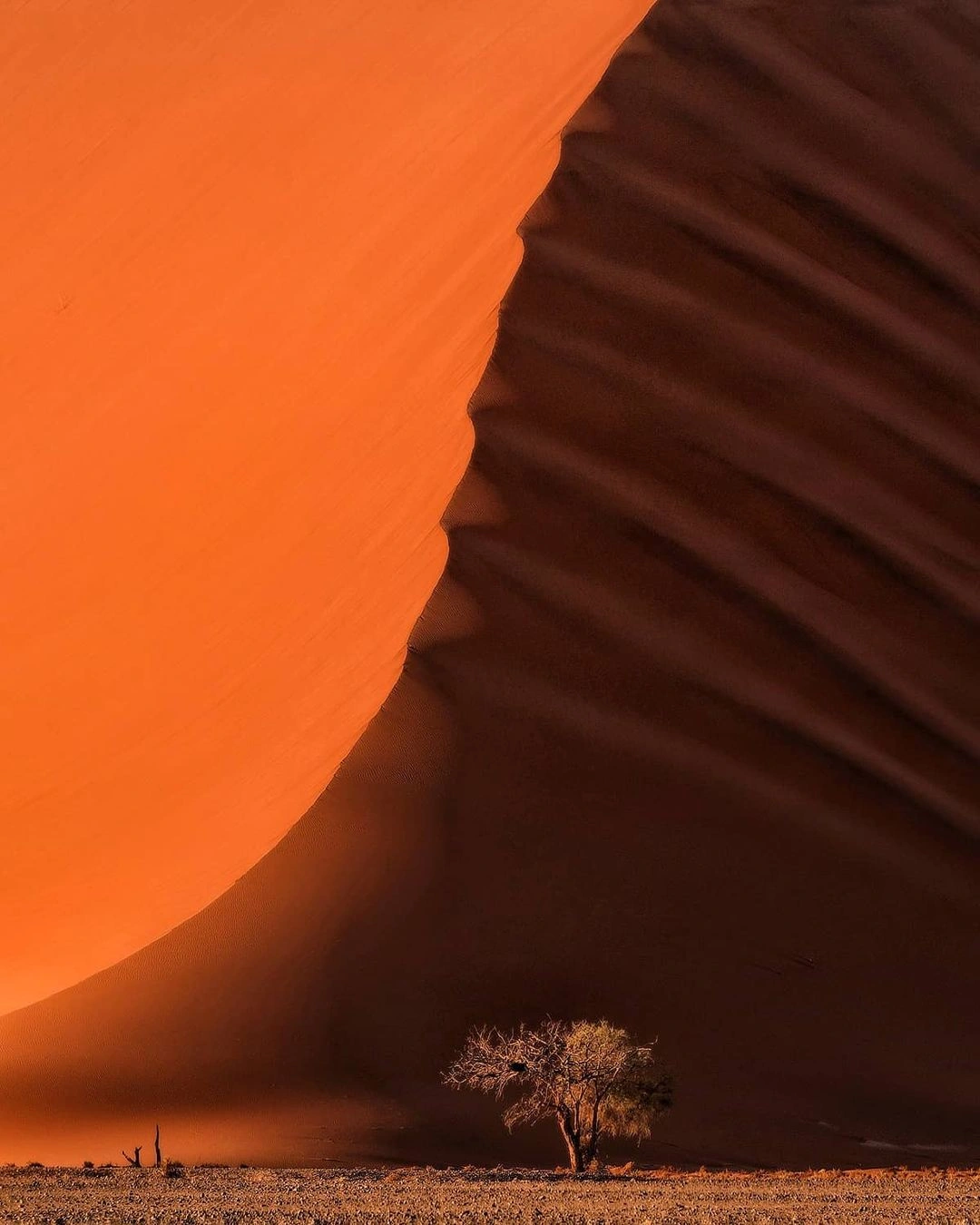 22 Rare and Captivating Sights That Showcase the Beauty of Our Planet