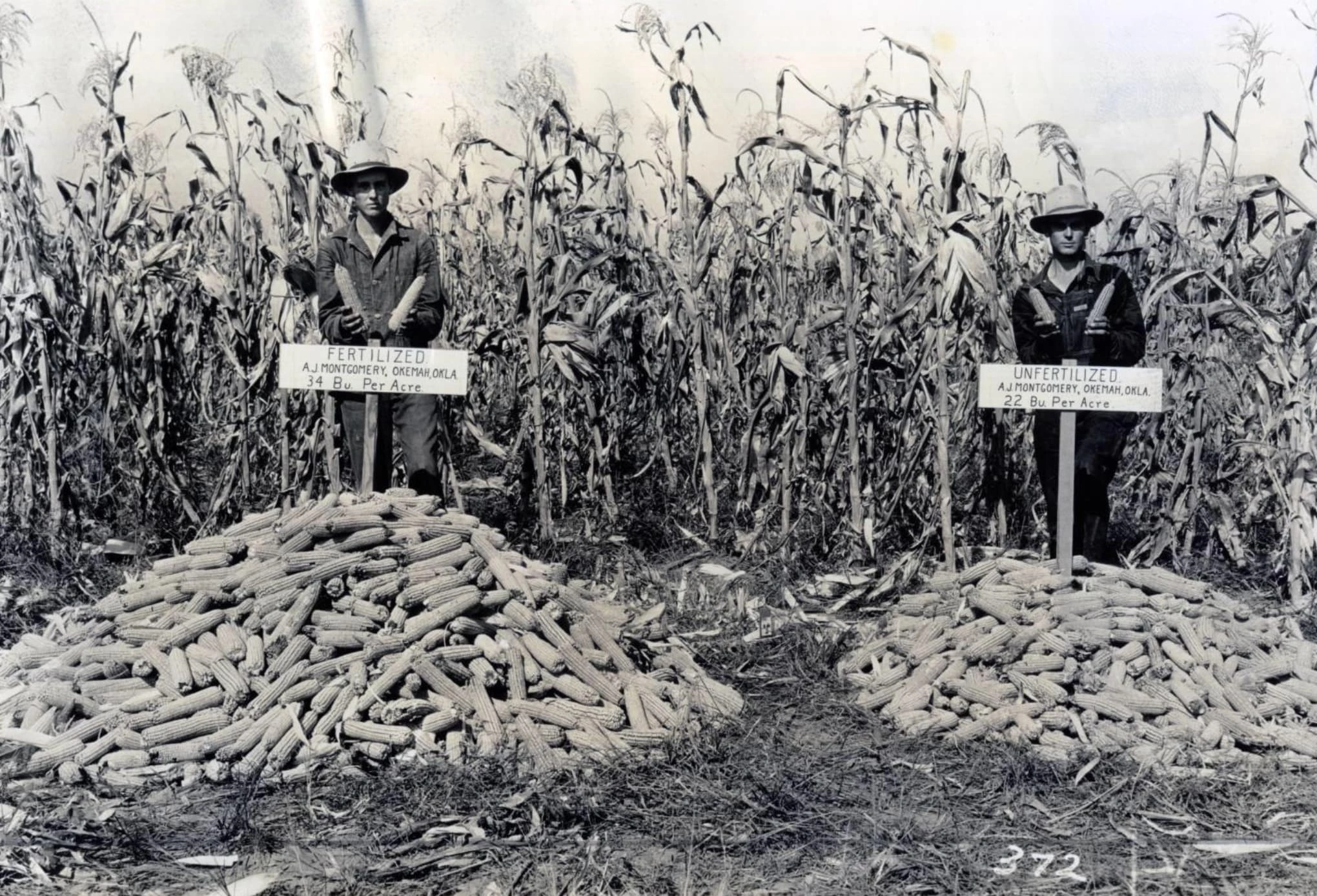 20 Mind-Bending Historical Photos that are Unbelievably Surreal
