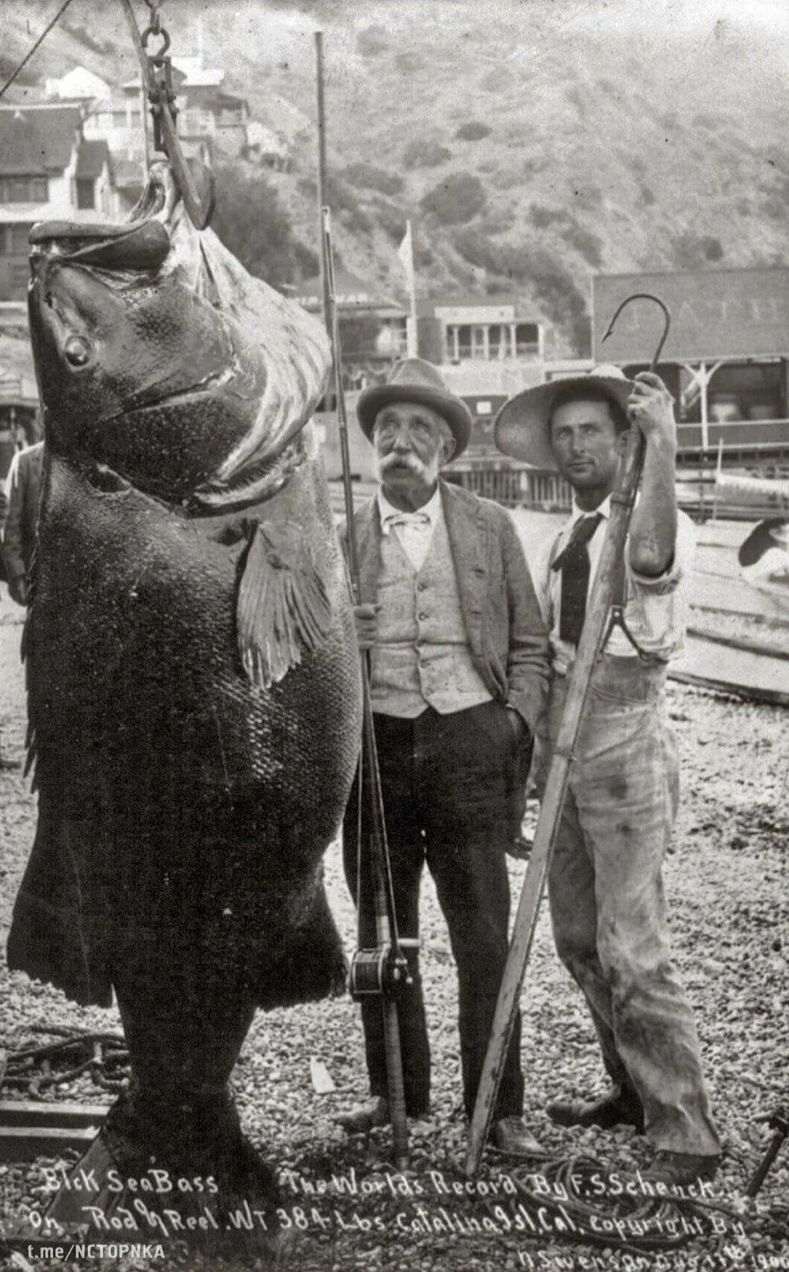 21 Vintage Portraits Showcasing Humanity's Timeless Sense of Humor
