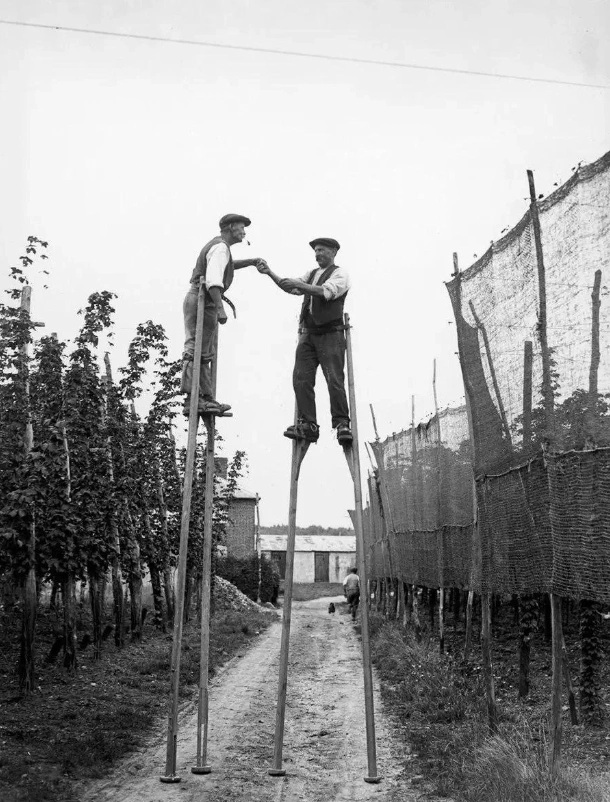 21 Vintage Portraits Showcasing Humanity's Timeless Sense of Humor