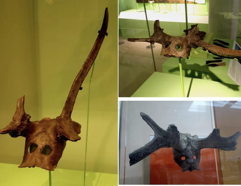 20 Remarkable Historical Artifacts