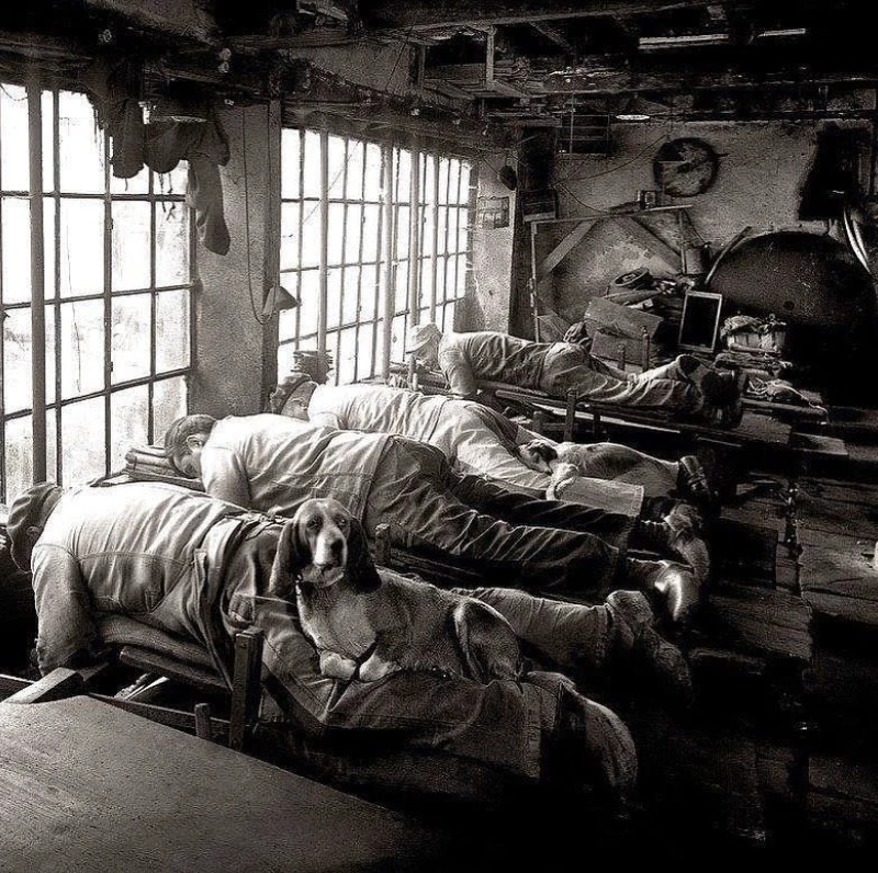 Exploring History: 21 Fascinating Images That Tell a Story