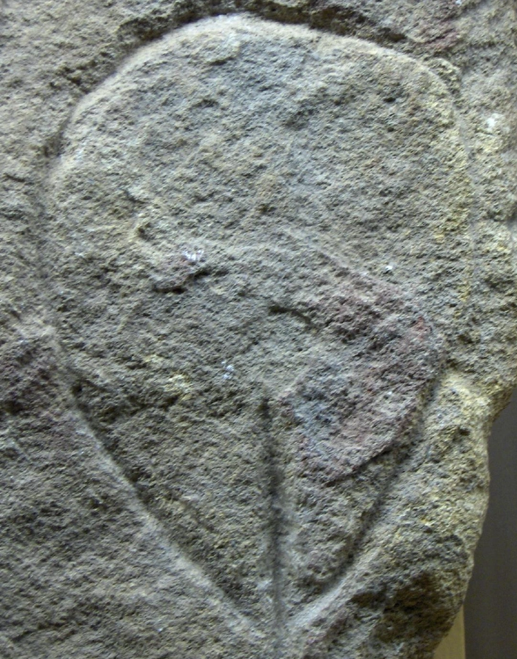 20 Historical Discoveries That Showcase Humanity's Intriguing Nature