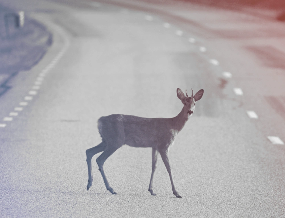 1. 21 Encounters with the Angel of Death2. Defying Death: 21 Stories of Triumph3. When Death Came Knocking: 21 Times People Said No4. The Angel of Death Denied: 21 Remarkable Moments5. Cheating Death: 21 Unforgettable Encounters6. 21 Times Death Was Defie