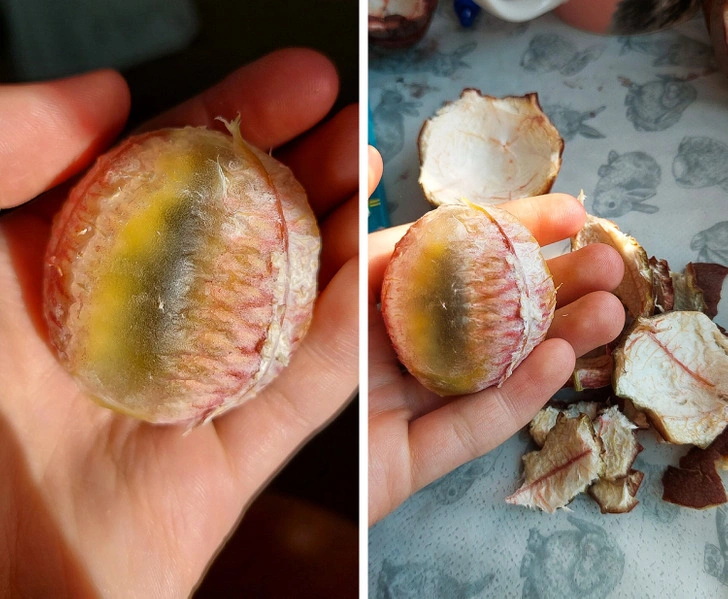 33 Fascinating Discoveries Unearthed by Individuals
