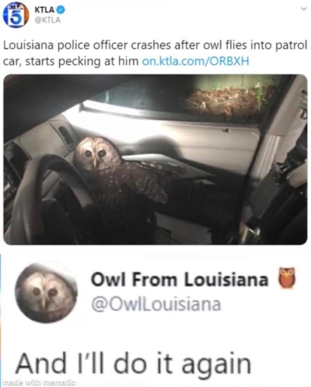 24 Individuals Unjustly Targeted by Fate