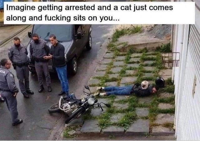 24 Individuals Unjustly Targeted by Fate