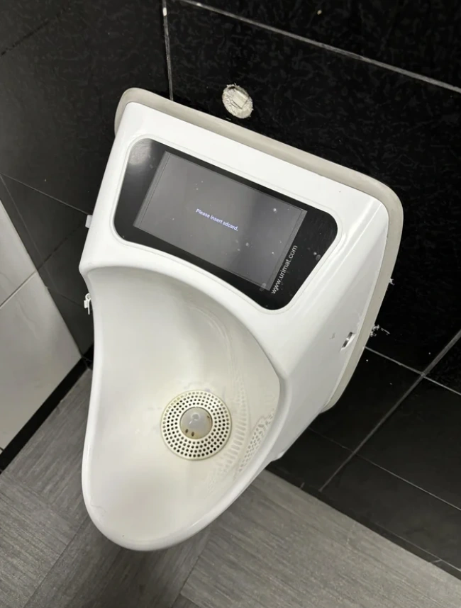 37 Quirky Toilets We'd Love to Use for a Tipsy Tinkle