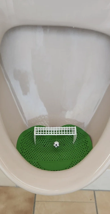 37 Quirky Toilets We'd Love to Use for a Tipsy Tinkle