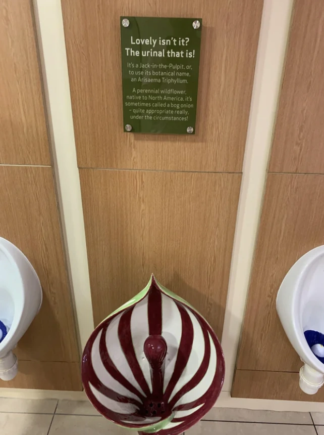 37 Quirky Toilets We'd Love to Use for a Tipsy Tinkle