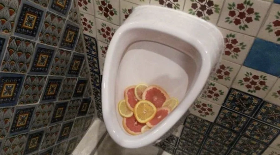 37 Quirky Toilets We'd Love to Use for a Tipsy Tinkle