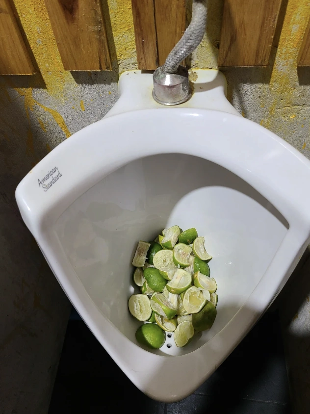 37 Quirky Toilets We'd Love to Use for a Tipsy Tinkle