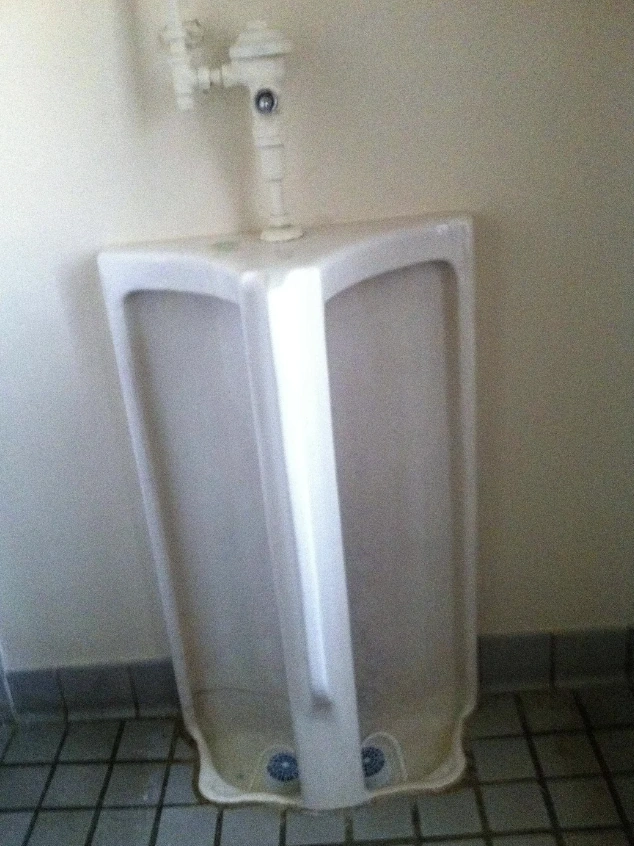 37 Quirky Toilets We'd Love to Use for a Tipsy Tinkle