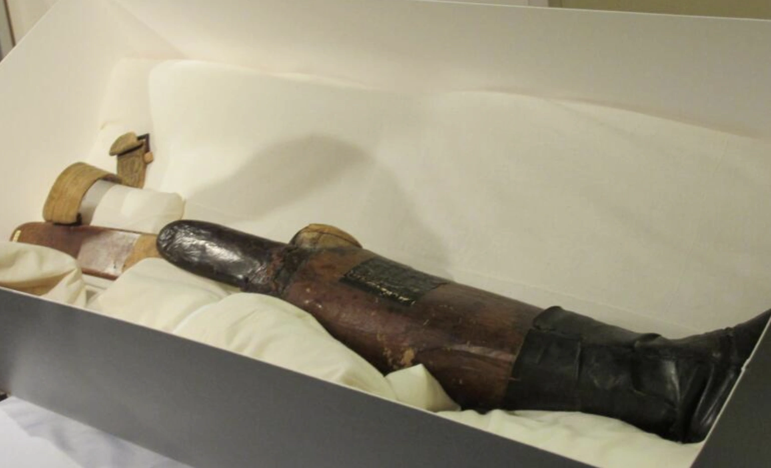 21 Bizarre and Unusual Exhibits Found in Museums Around the World