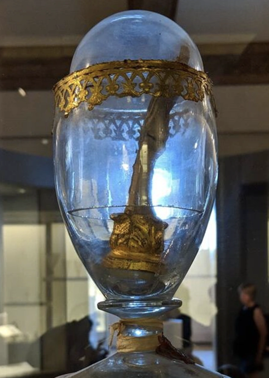 21 Bizarre and Unusual Exhibits Found in Museums Around the World