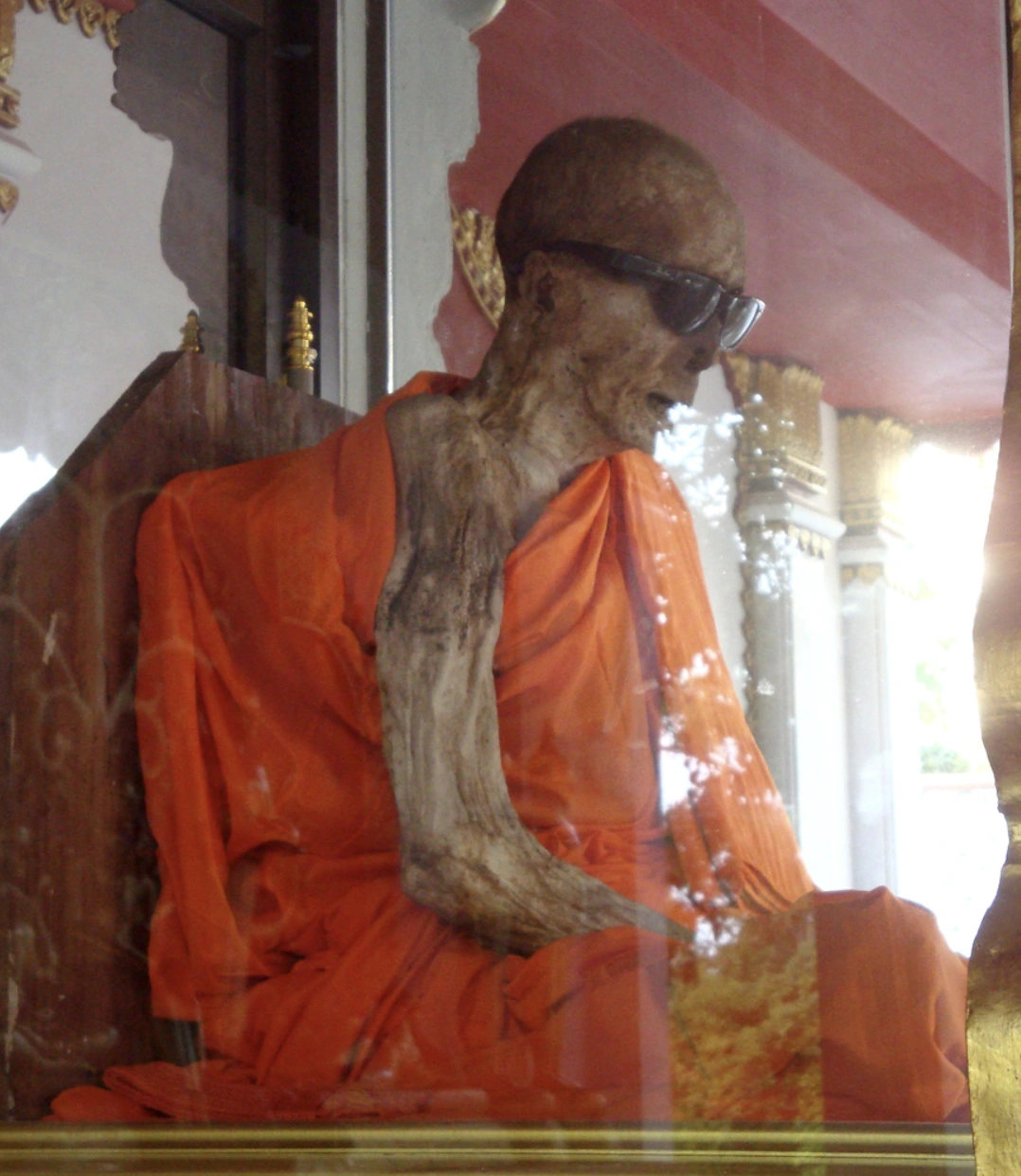 21 Bizarre and Unusual Exhibits Found in Museums Around the World