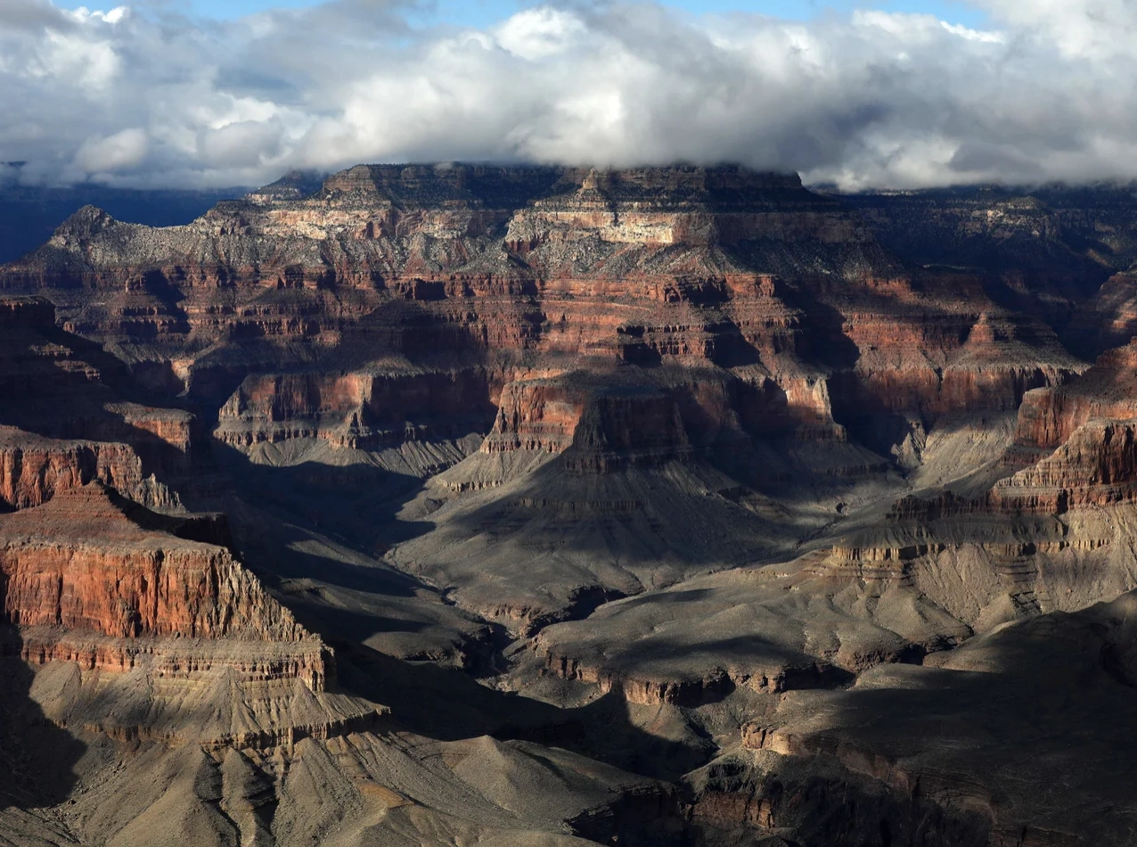 21 Bizarre and Unusual Exhibits Found in Museums Around the World