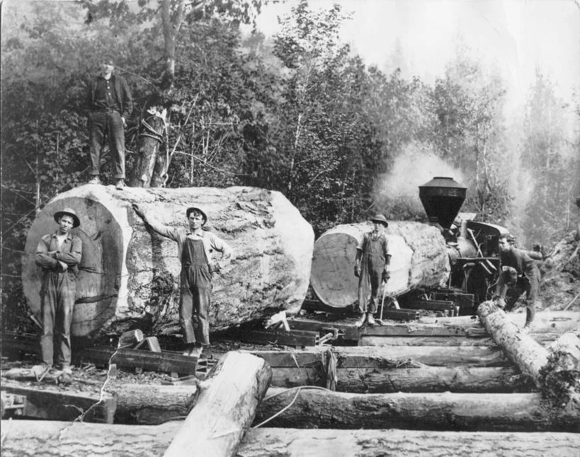 21 Stunning Images of Old-Growth Logging to Transport You to the World of Paul Bunyan