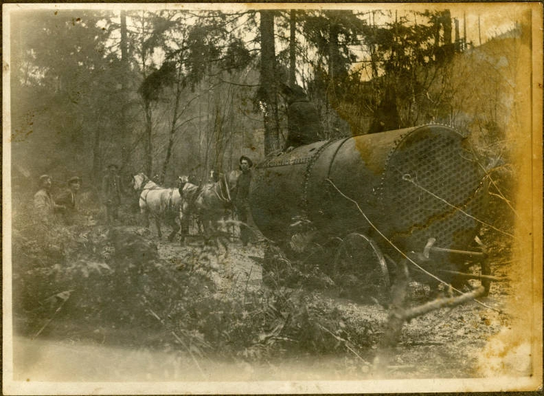 21 Stunning Images of Old-Growth Logging to Transport You to the World of Paul Bunyan