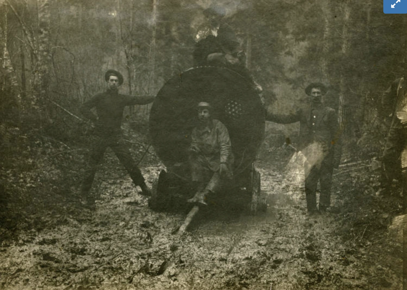 21 Stunning Images of Old-Growth Logging to Transport You to the World of Paul Bunyan