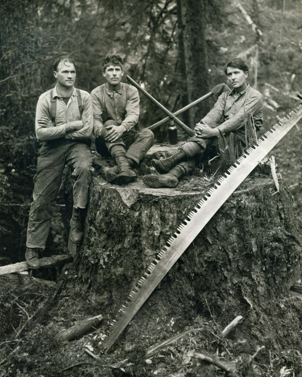 21 Stunning Images of Old-Growth Logging to Transport You to the World of Paul Bunyan