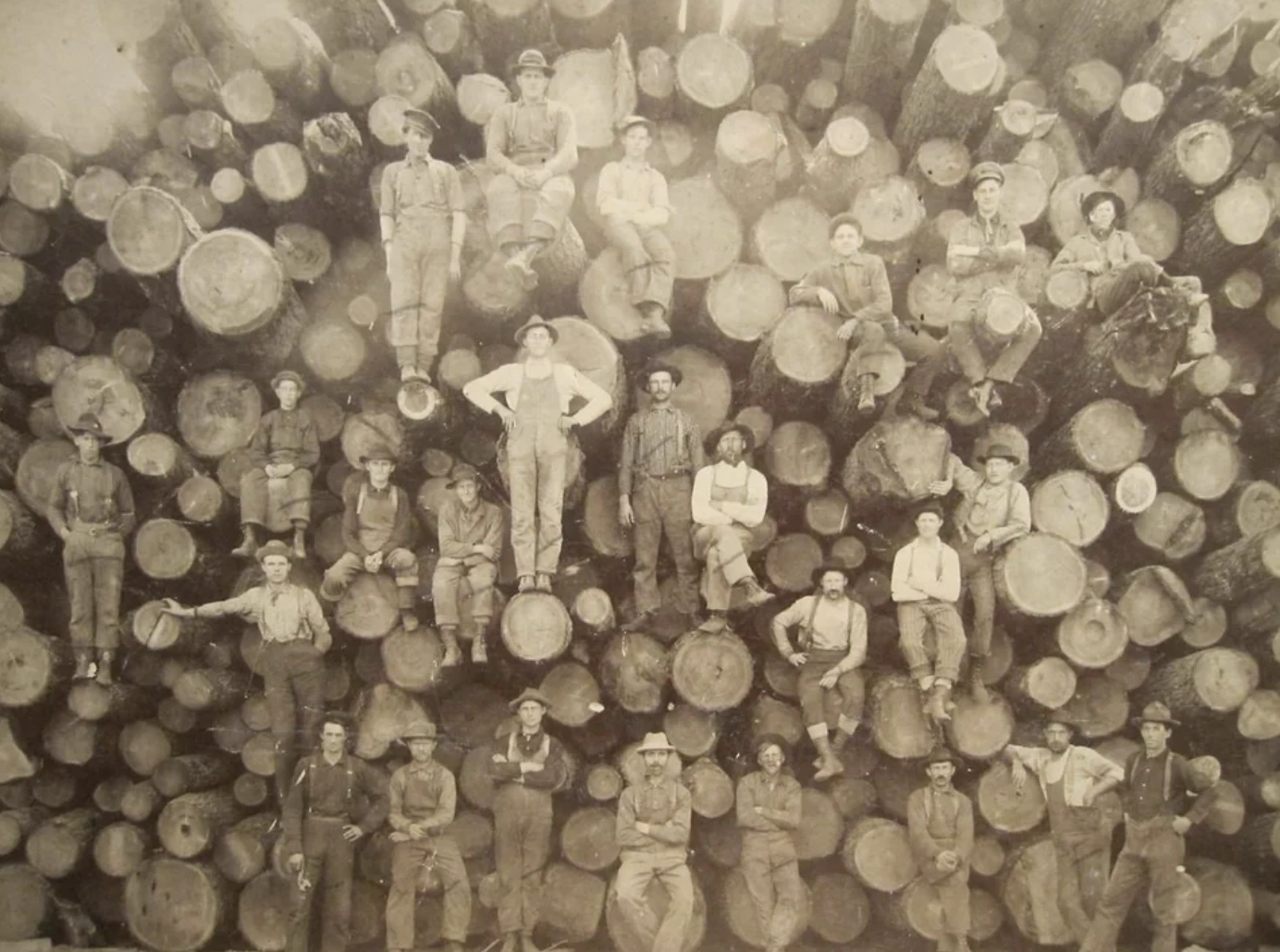 21 Stunning Images of Old-Growth Logging to Transport You to the World of Paul Bunyan