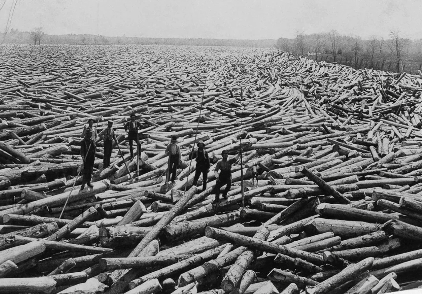 21 Stunning Images of Old-Growth Logging to Transport You to the World of Paul Bunyan