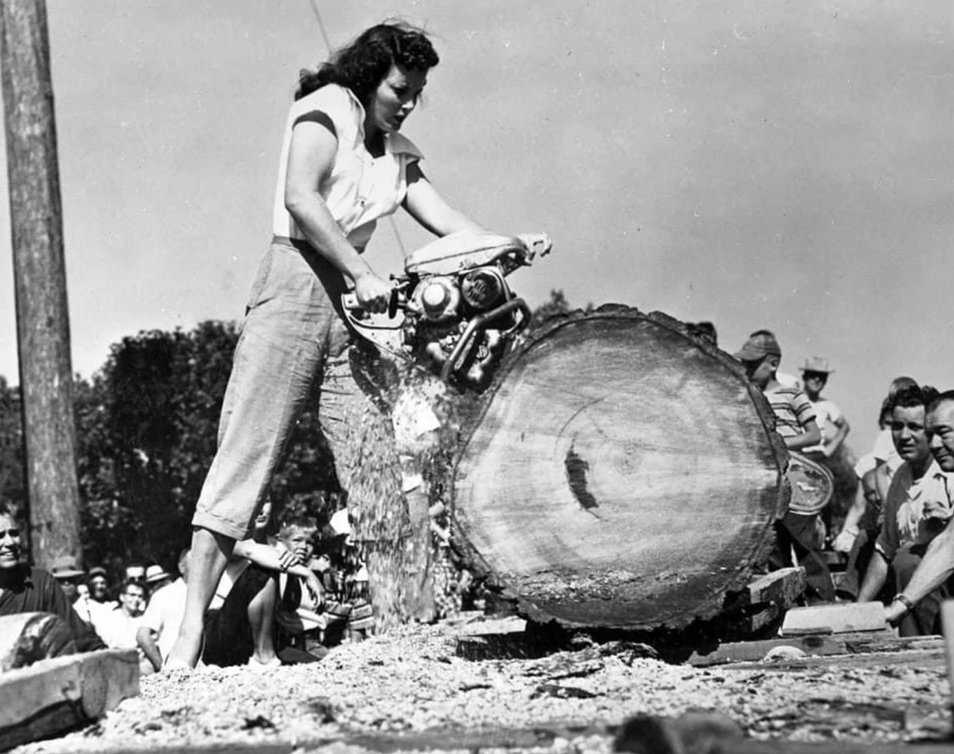 21 Stunning Images of Old-Growth Logging to Transport You to the World of Paul Bunyan