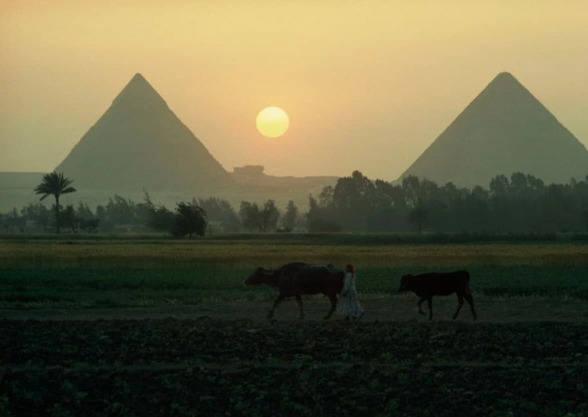 20 Fascinating Facts About the Pyramids of Giza Sans Aliens