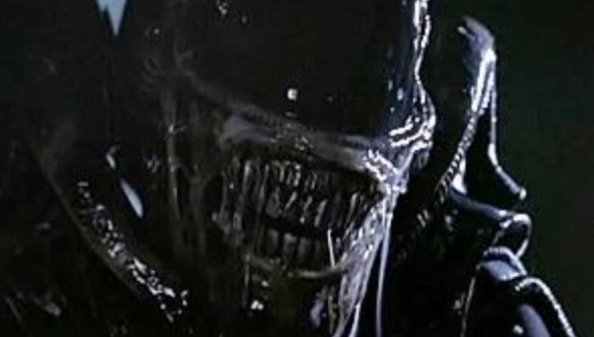 20 Bizarre Facts About 'Alien' That Will Make You Clutch Your Own Face in Fear