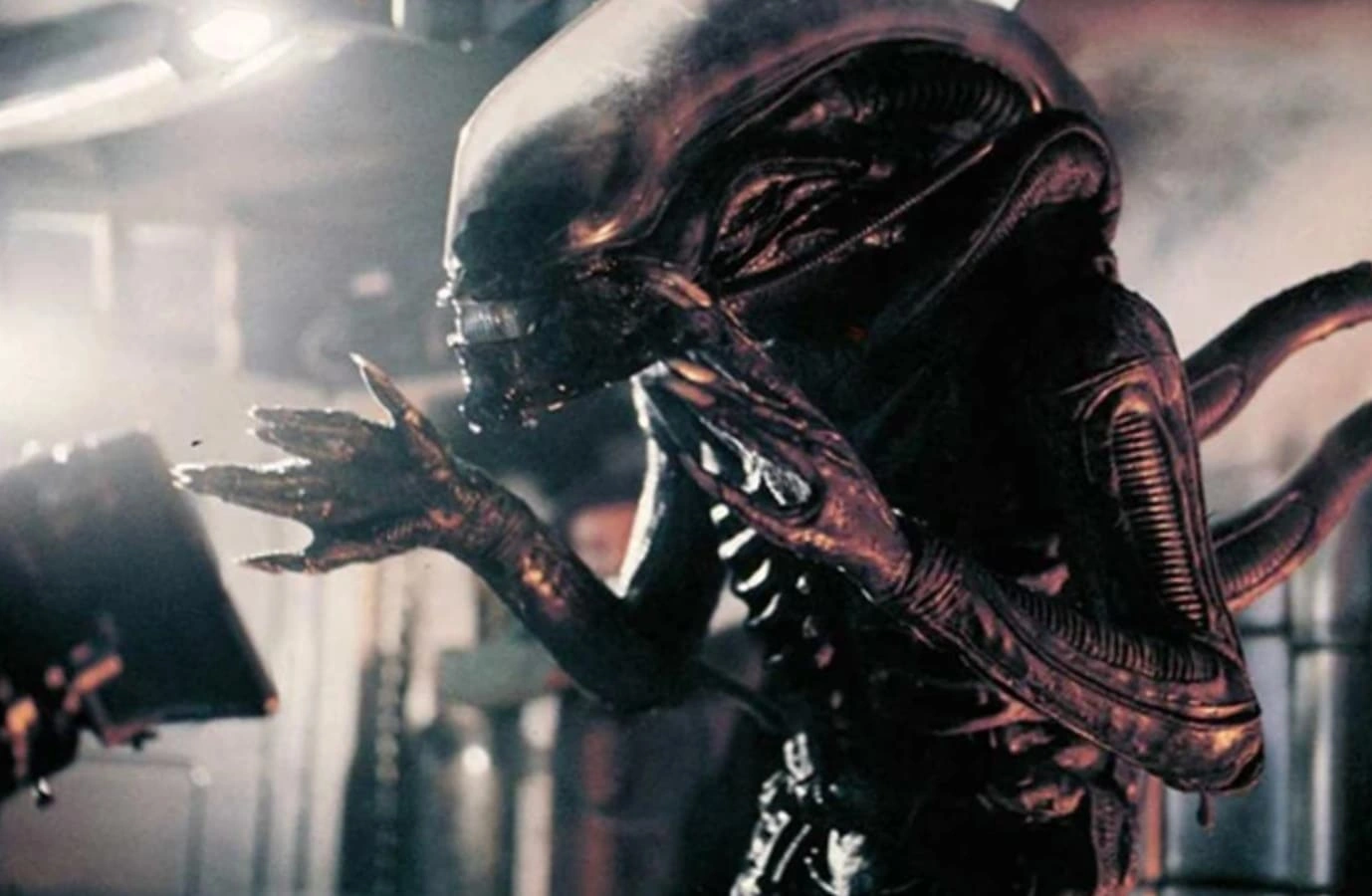 20 Bizarre Facts About 'Alien' That Will Make You Clutch Your Own Face in Fear