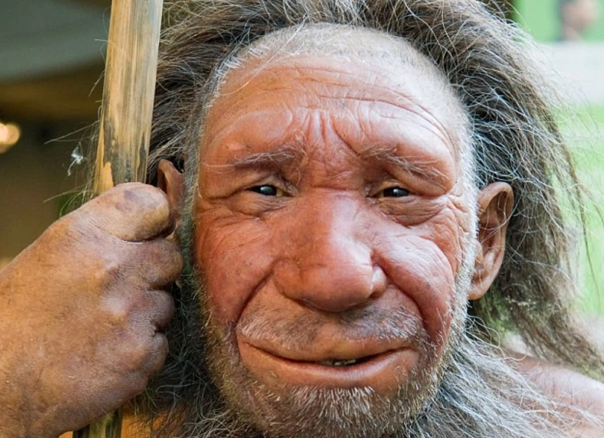 21 Mind-Blowing Discoveries That Challenge Our Understanding of Neanderthals