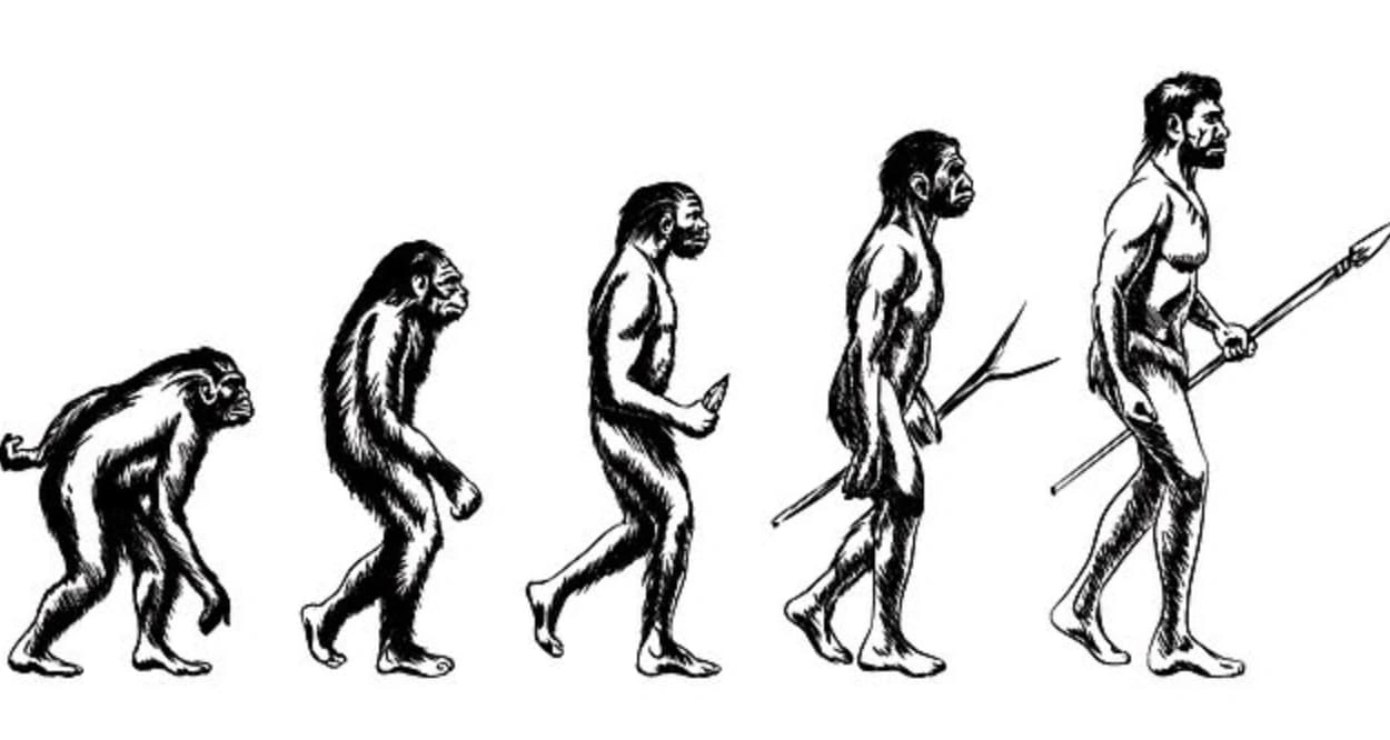 21 Mind-Blowing Discoveries That Challenge Our Understanding of Neanderthals