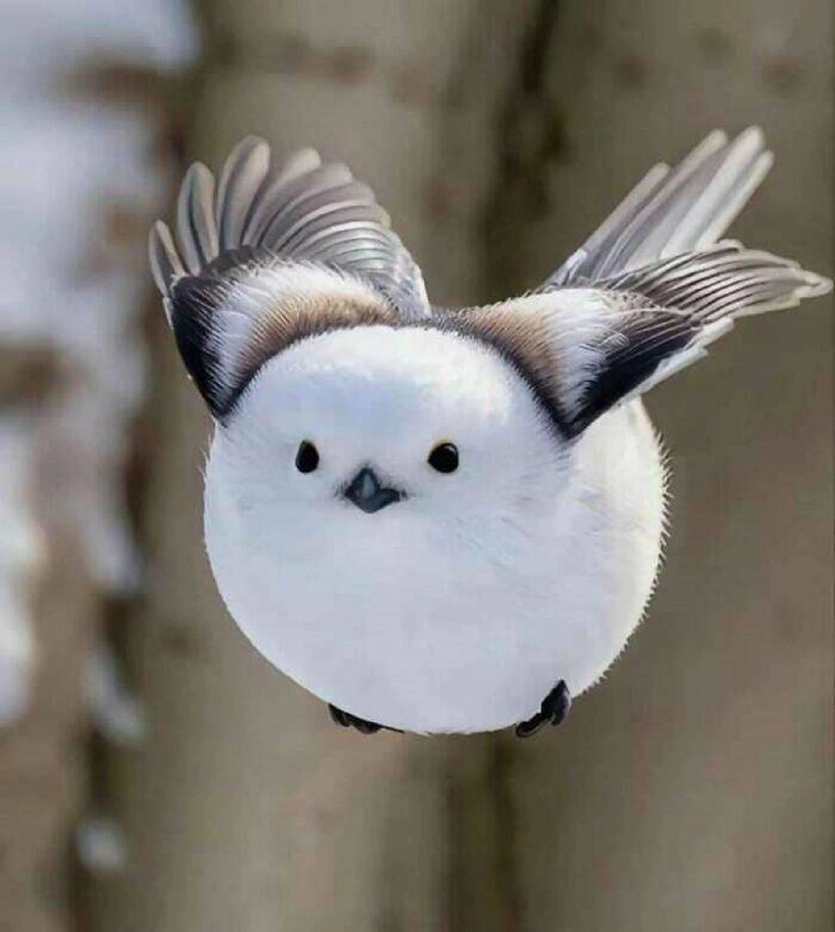 29 Bizarre and Beautiful Images to Brighten Your Morning