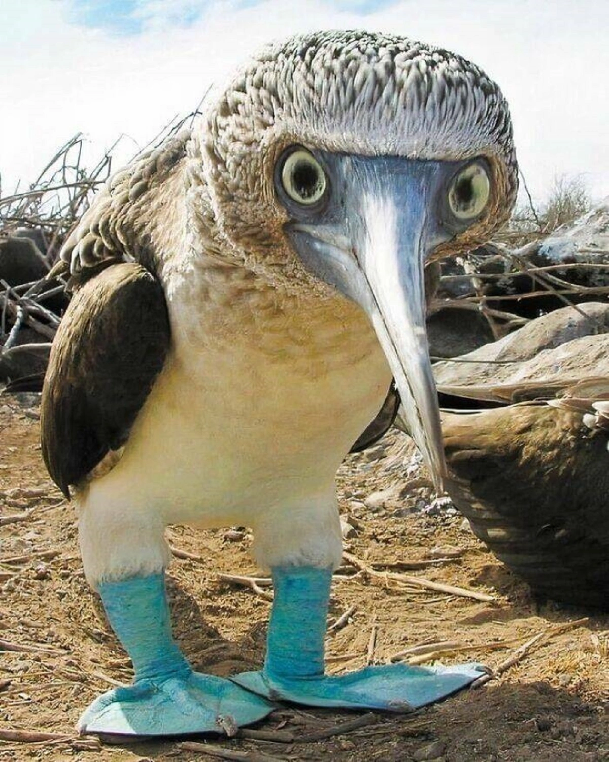 29 Bizarre and Beautiful Images to Brighten Your Morning