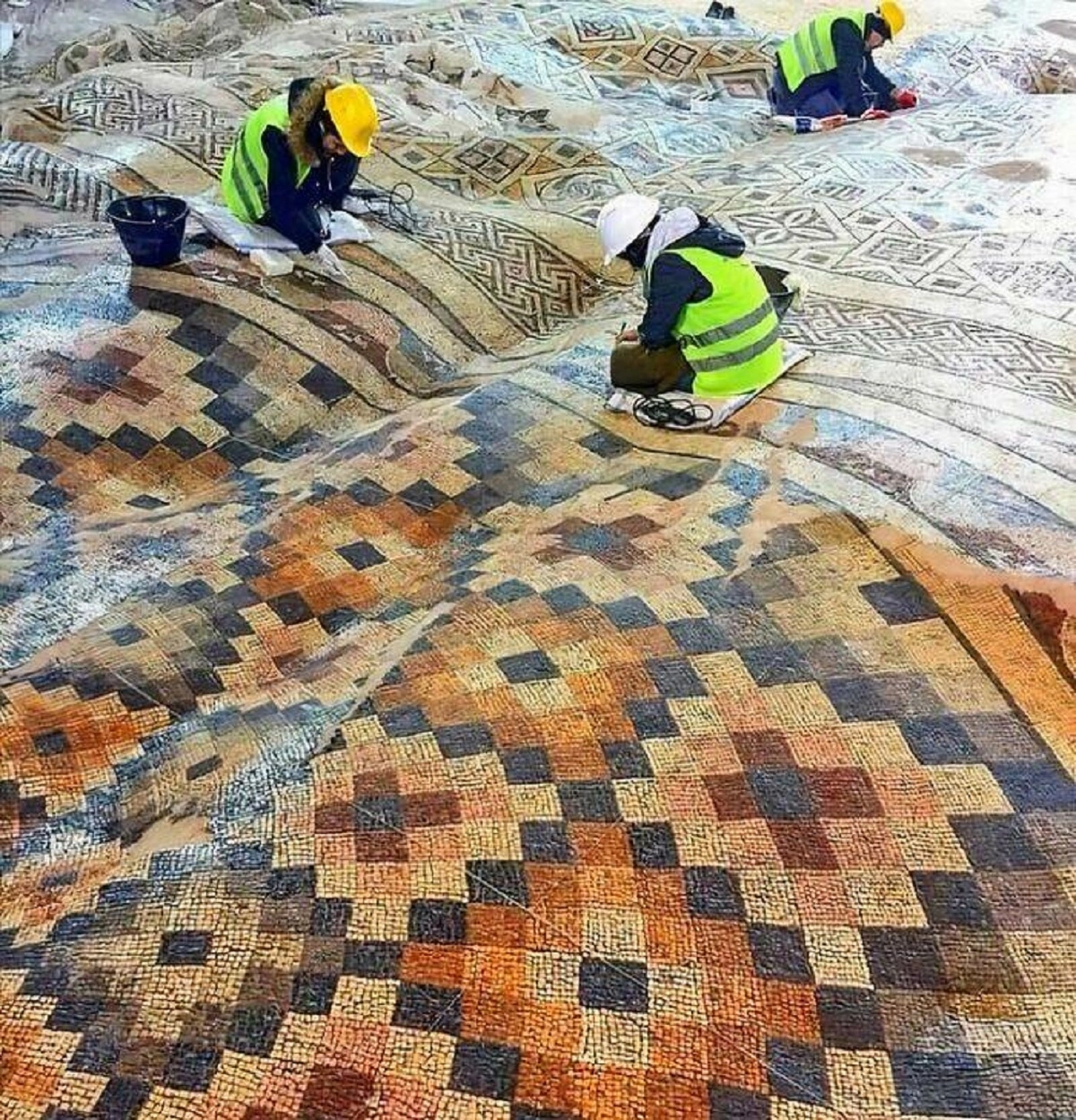 29 Bizarre and Beautiful Images to Brighten Your Morning