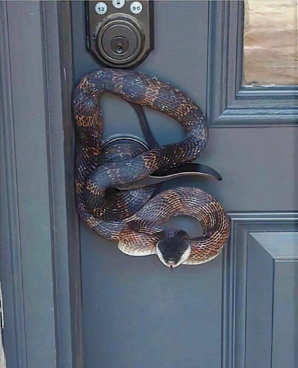 29 Bizarre and Beautiful Images to Brighten Your Morning