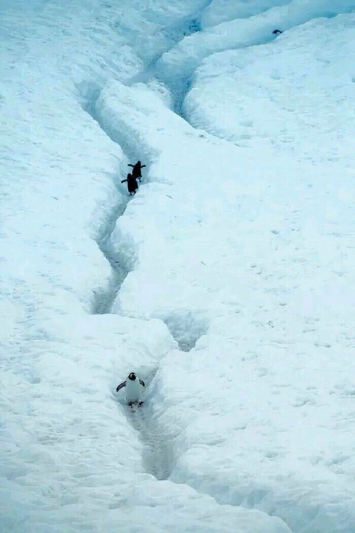 29 Bizarre and Beautiful Images to Brighten Your Morning