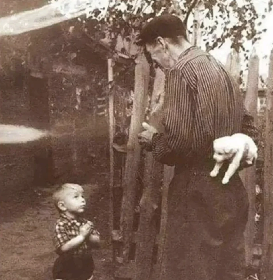 33 Captivating Images Captured in the 1950s
