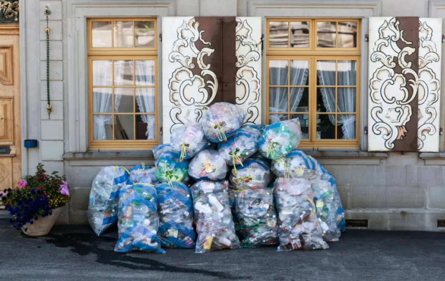 Dumpster Diving for Knowledge: 22 Trashy Facts to Fill Your Mental Landfill