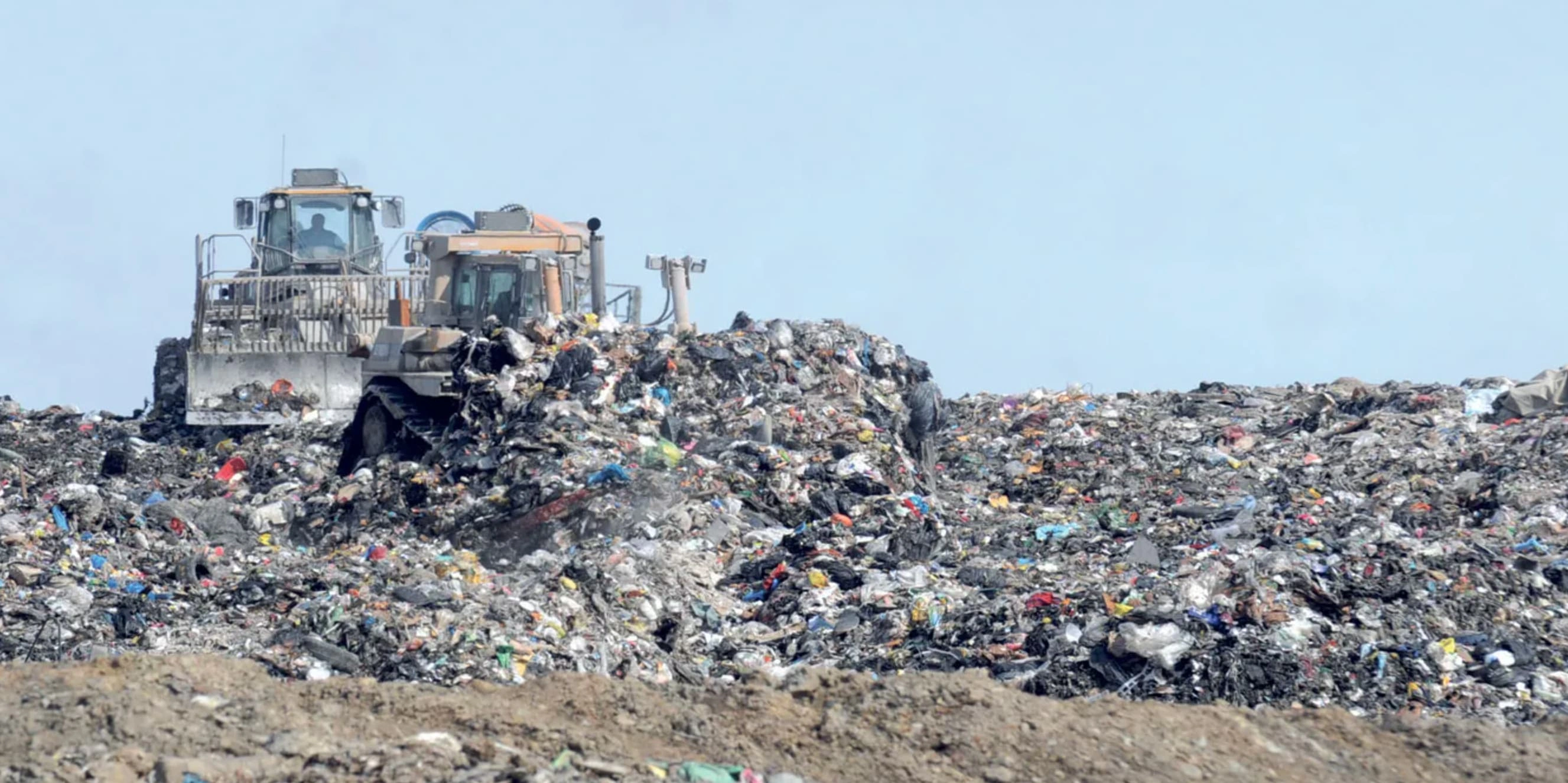 Dumpster Diving for Knowledge: 22 Trashy Facts to Fill Your Mental Landfill