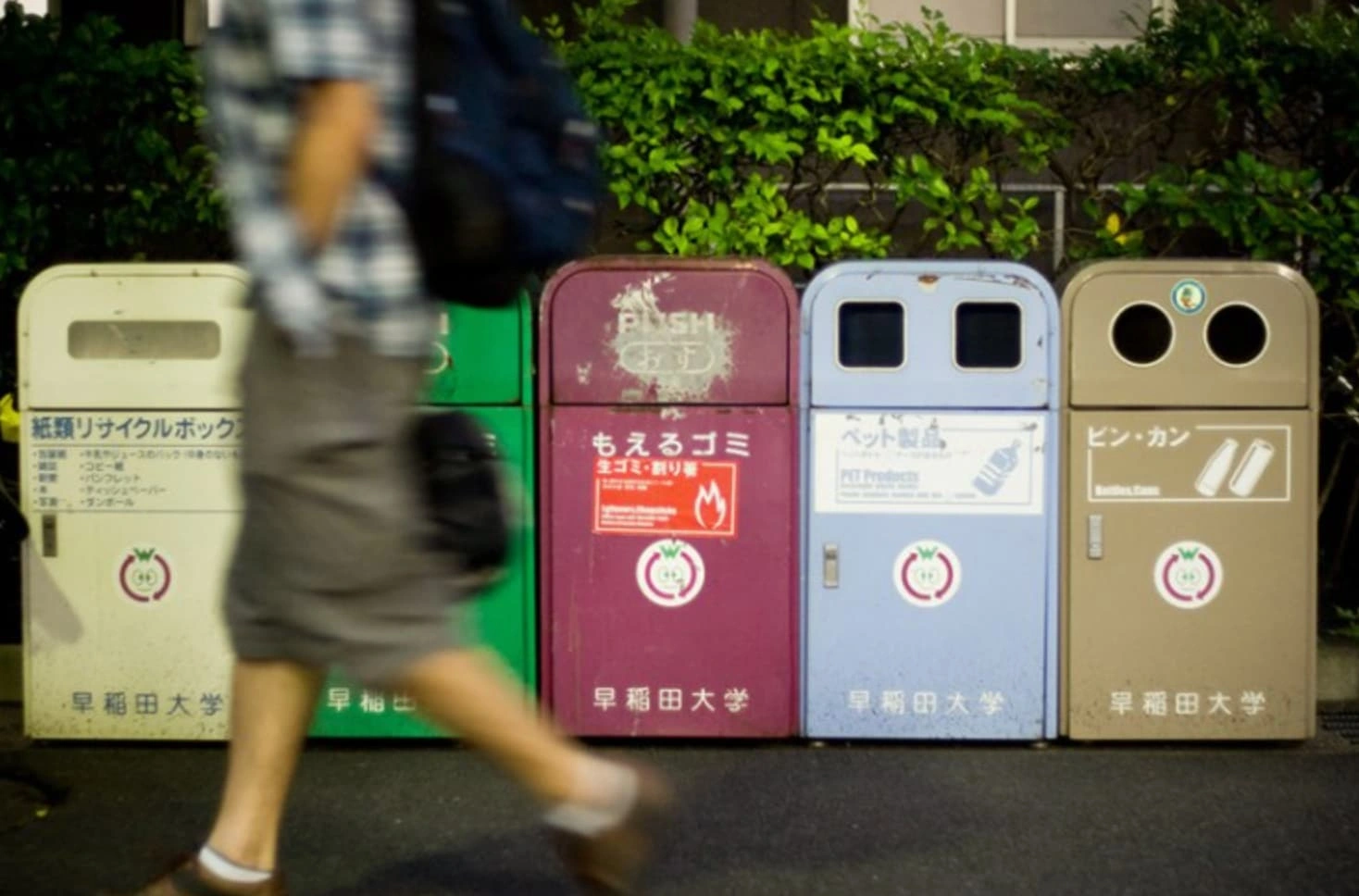 Dumpster Diving for Knowledge: 22 Trashy Facts to Fill Your Mental Landfill
