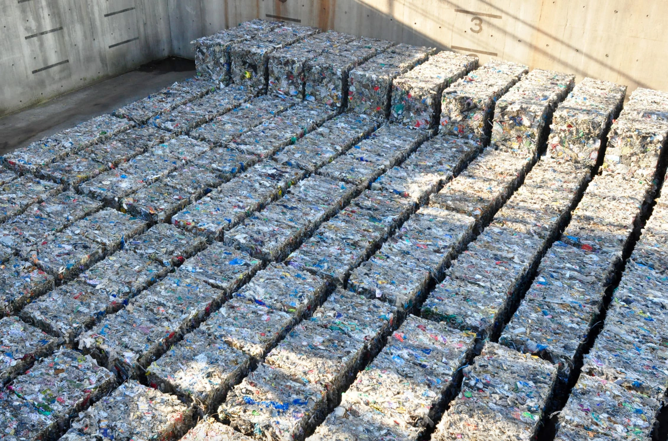 Dumpster Diving for Knowledge: 22 Trashy Facts to Fill Your Mental Landfill