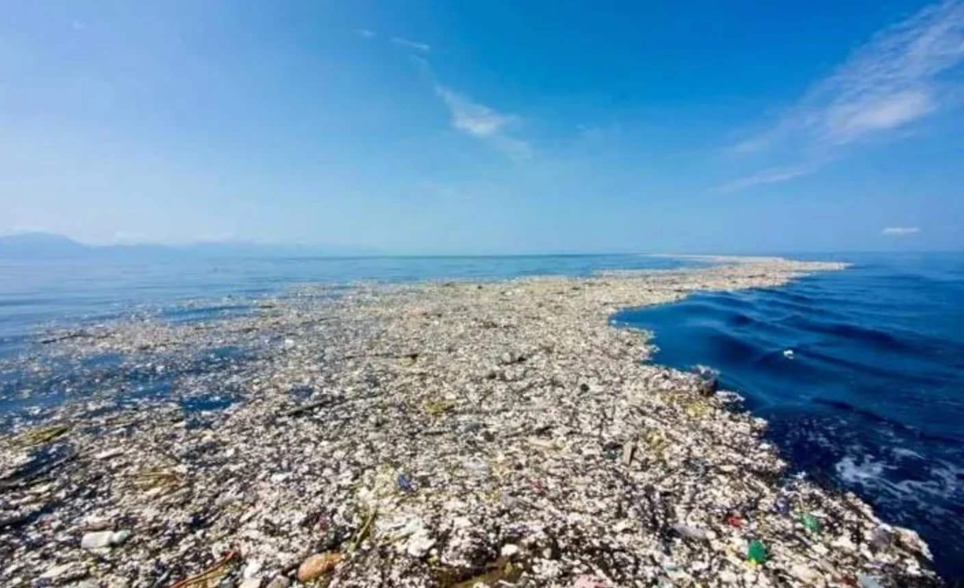 Dumpster Diving for Knowledge: 22 Trashy Facts to Fill Your Mental Landfill