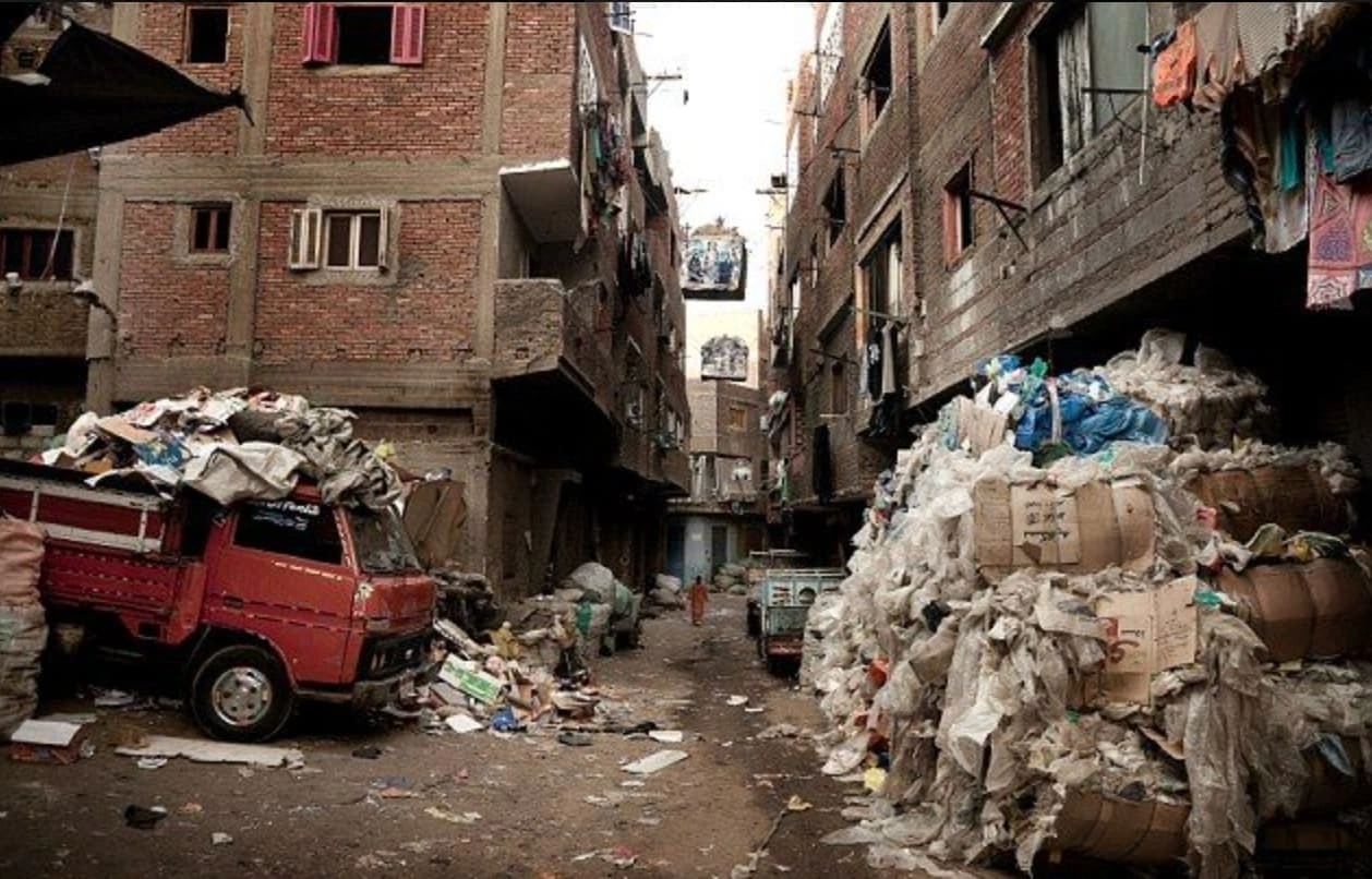Dumpster Diving for Knowledge: 22 Trashy Facts to Fill Your Mental Landfill
